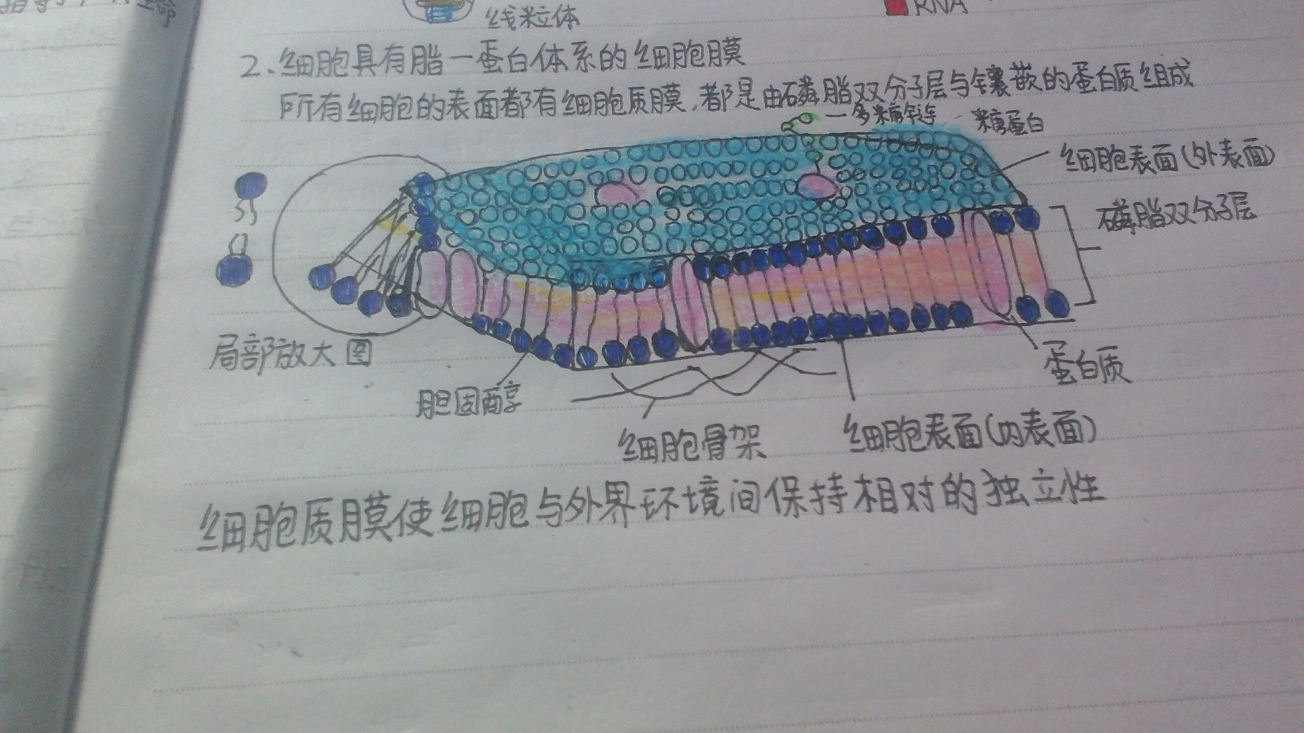 IMG20151102235127.jpg