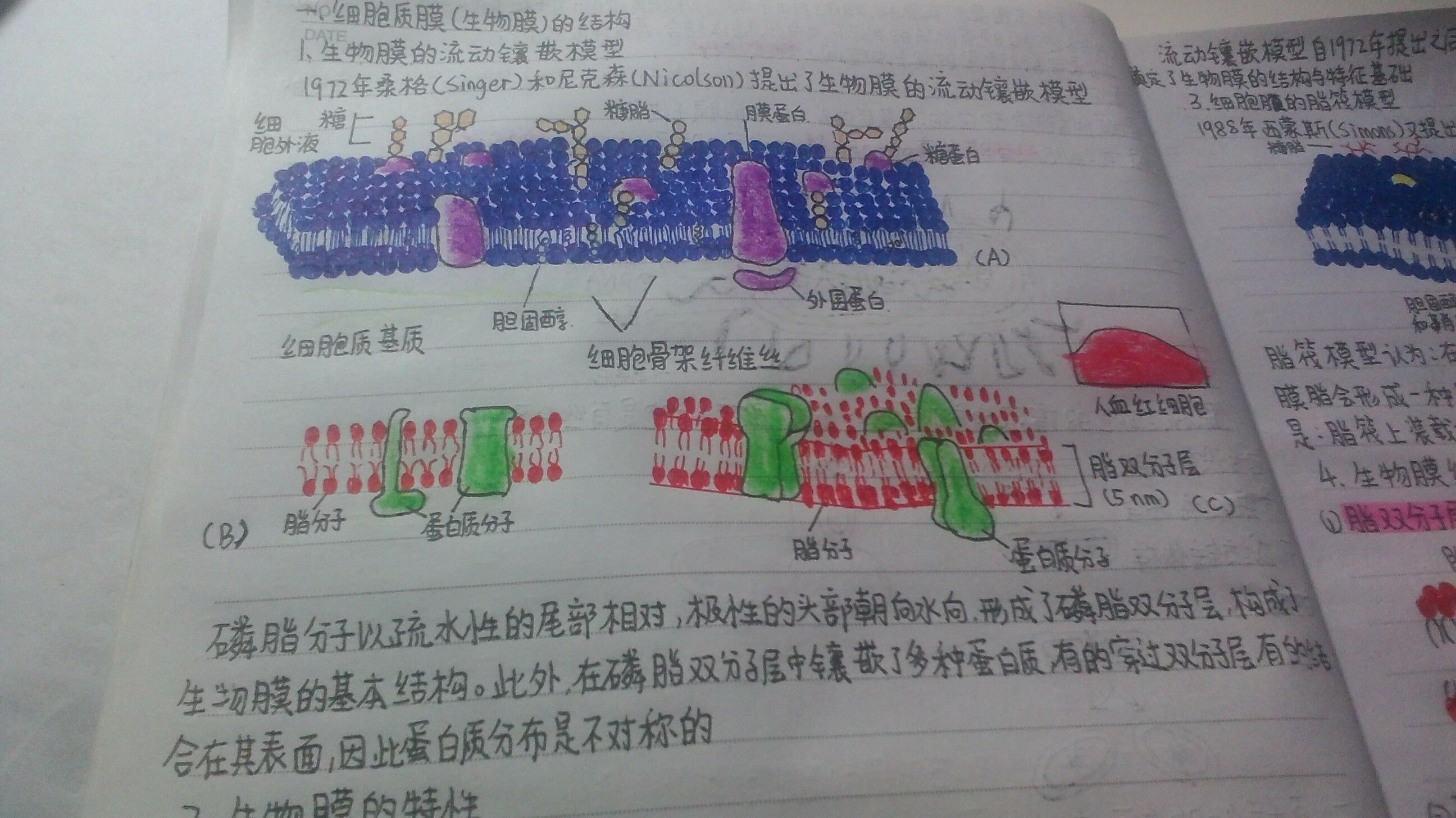 IMG20151104223957.jpg