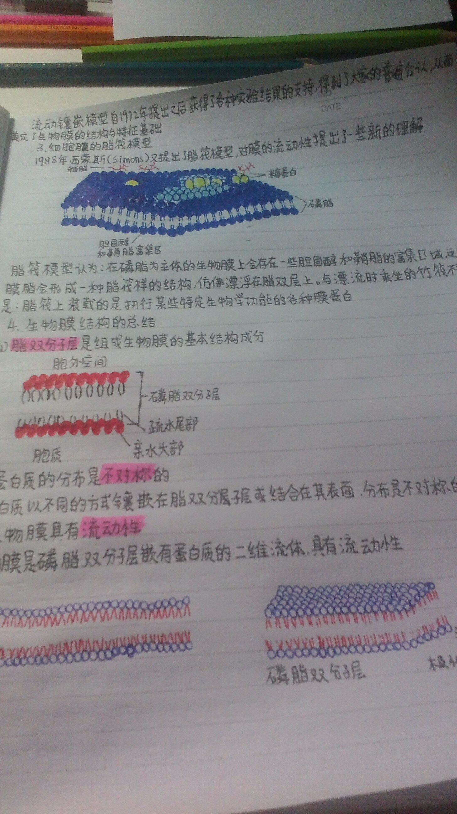 IMG20151104224113.jpg