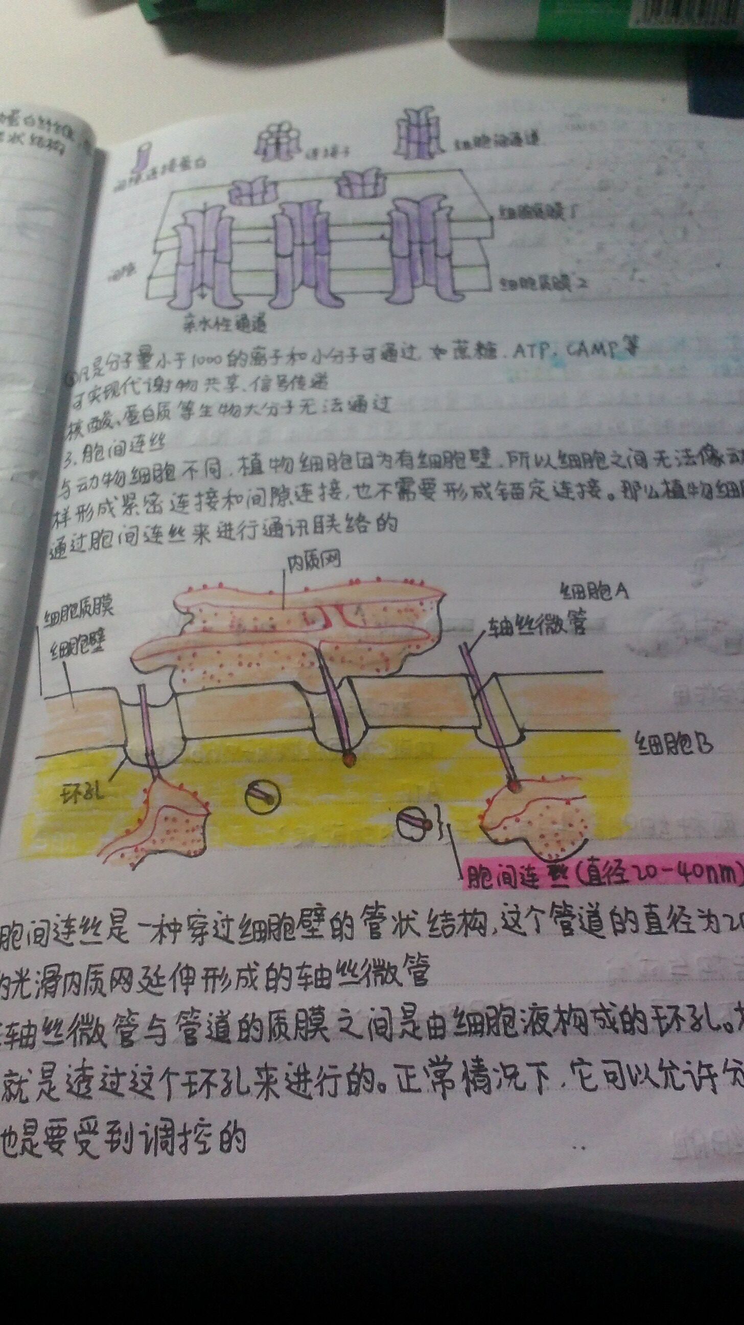 IMG20151116230251.jpg