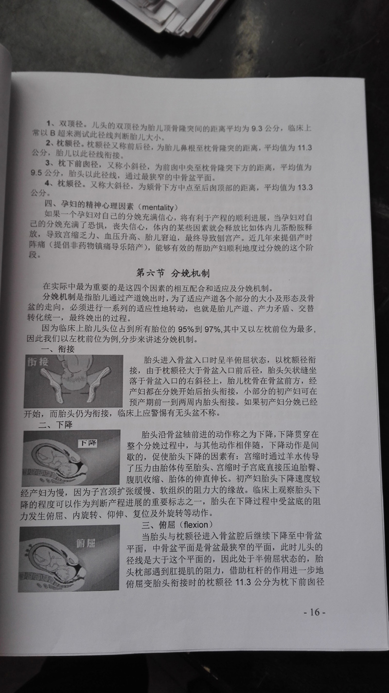 08.jpg