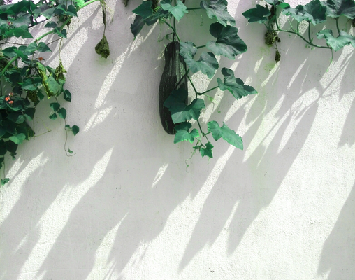 2015-旧时光 (10).jpg