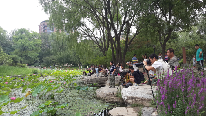 20160716_103458.jpg