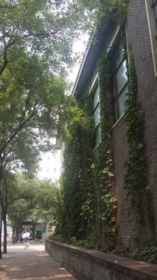 20160728_124304.jpg