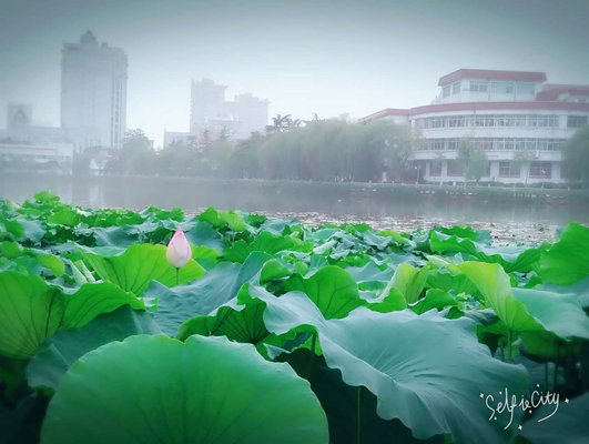 灵魂摄影大赛学堂在线.jpg