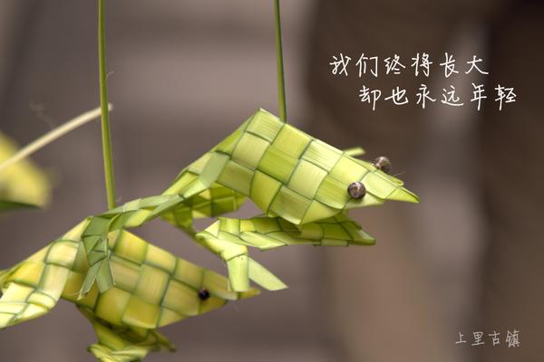 上里古镇青蛙.jpg
