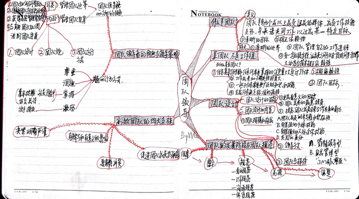 商学导论_10.团队领导.jpg