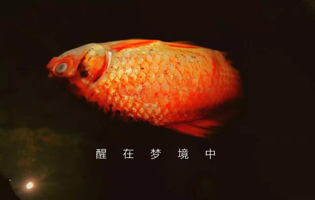 1470713011708.jpeg