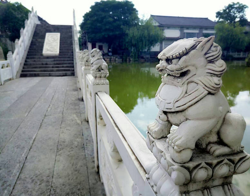 守护.jpg