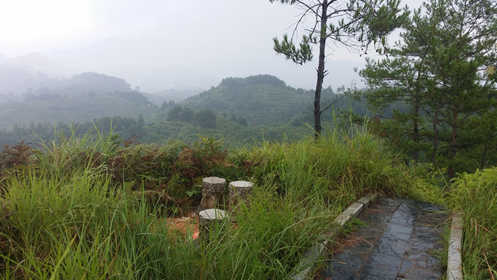 20160811_114528_副本.jpg