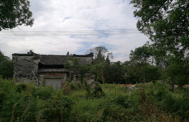 IMG_20160812_084358 拷贝.jpg