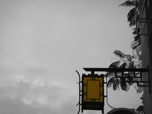 DSC08993__-.jpg