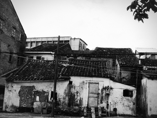 DSC09032_副本_副本.jpg